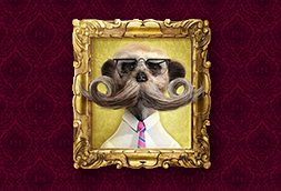 Sergei’s Movember