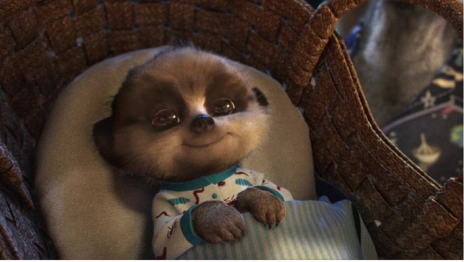 Meet Baby Oleg | Compare the Meerkat