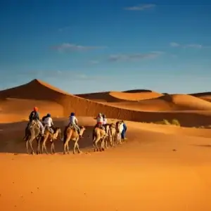 Group with travel insurance on camels in the desert