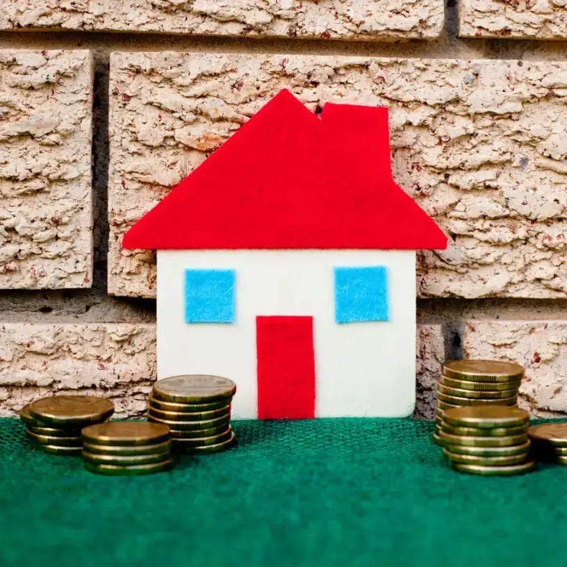 LMI home loan money visualisation