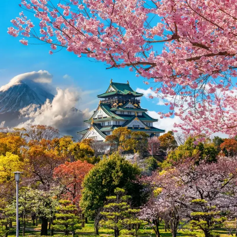 Osaka castle in spring Japan