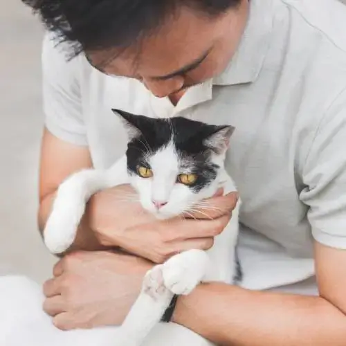 Owner holding senior black and white cat