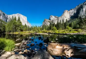 North American landscape