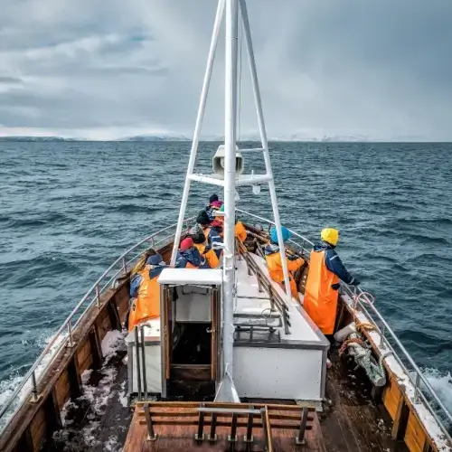 Workers on a commercial fishing boat