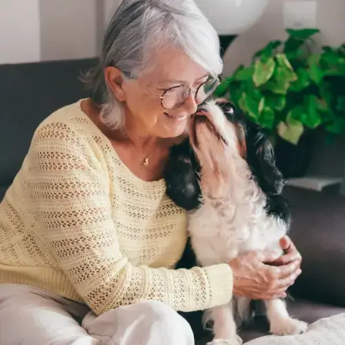 Elderly woman cuddling her Cavalier Spaniel dog
