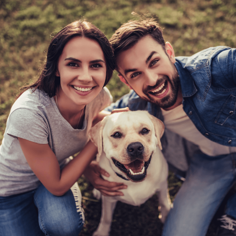 Happy labrador family