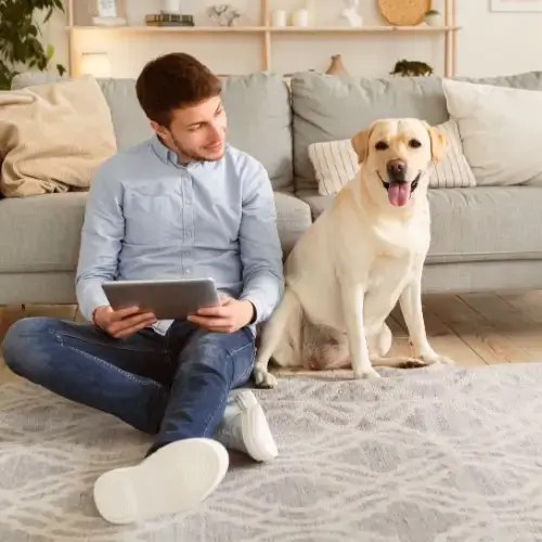 Owner sitting in living room with his Golden Retriever