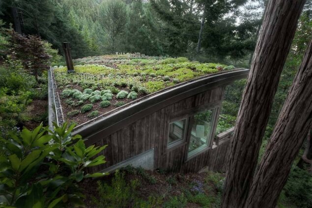 green roof