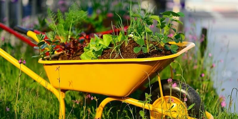 What can you do with a wheelbarrow?