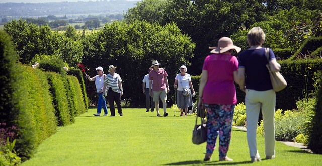 elderly visitors