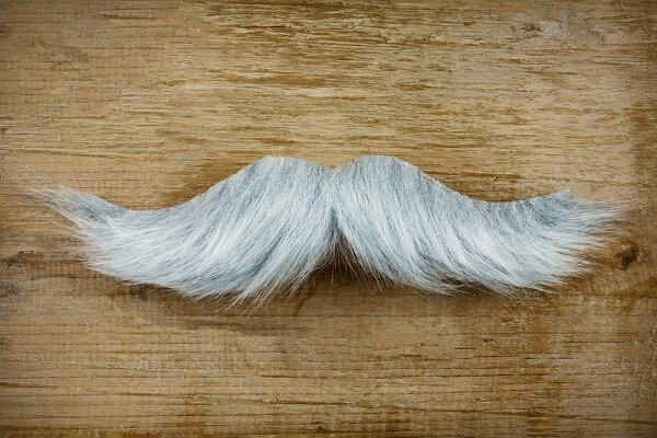 symbol of a moustach