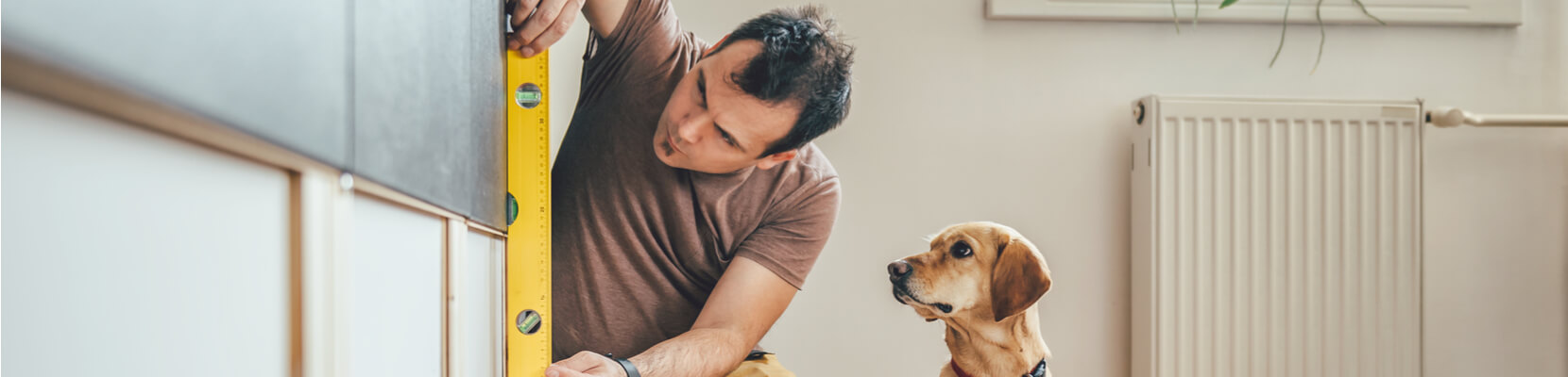 man performs renovations in home while dog watches
