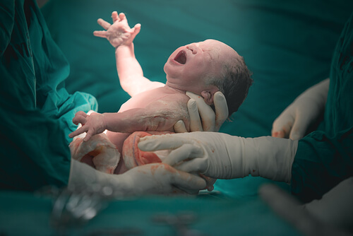 doctors hold a newborn baby