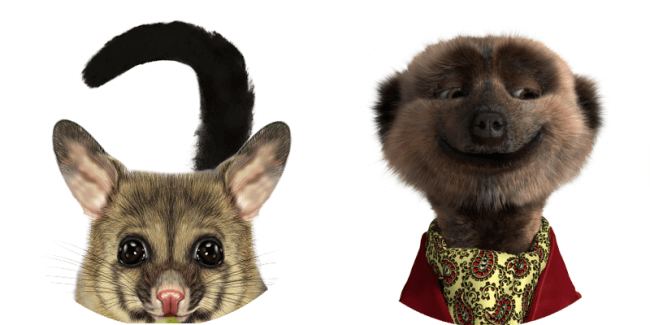 meerkat slippers