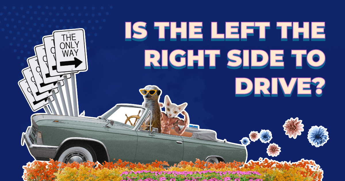 Is the left really the right side to drive on? Compare the Market