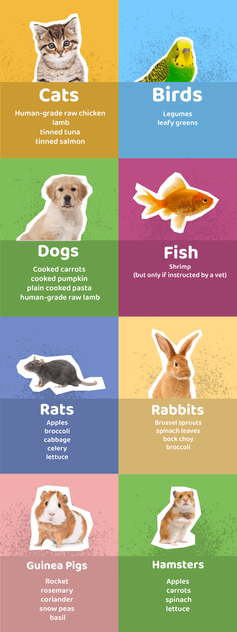 Can Lettuce Kill Dogs