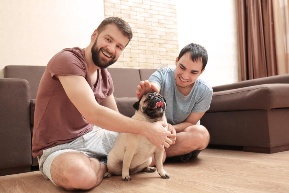 Couple looking after pet dog pug