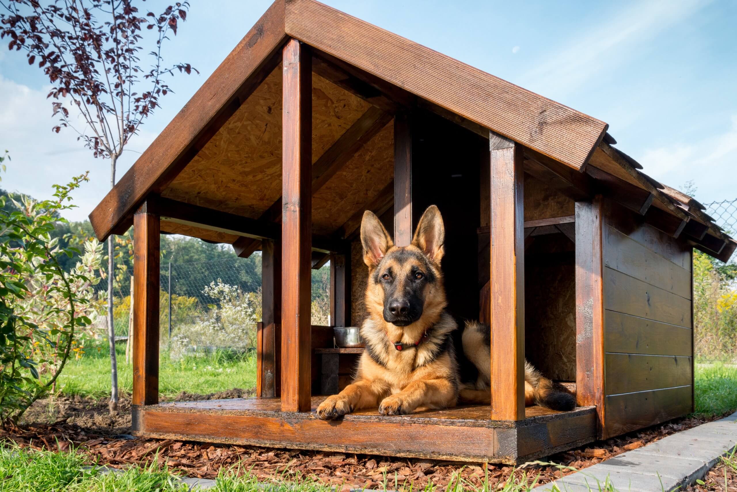 german shepherd dog resting in wooden kennel outdoors