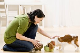 woman feeding her puppy pet food