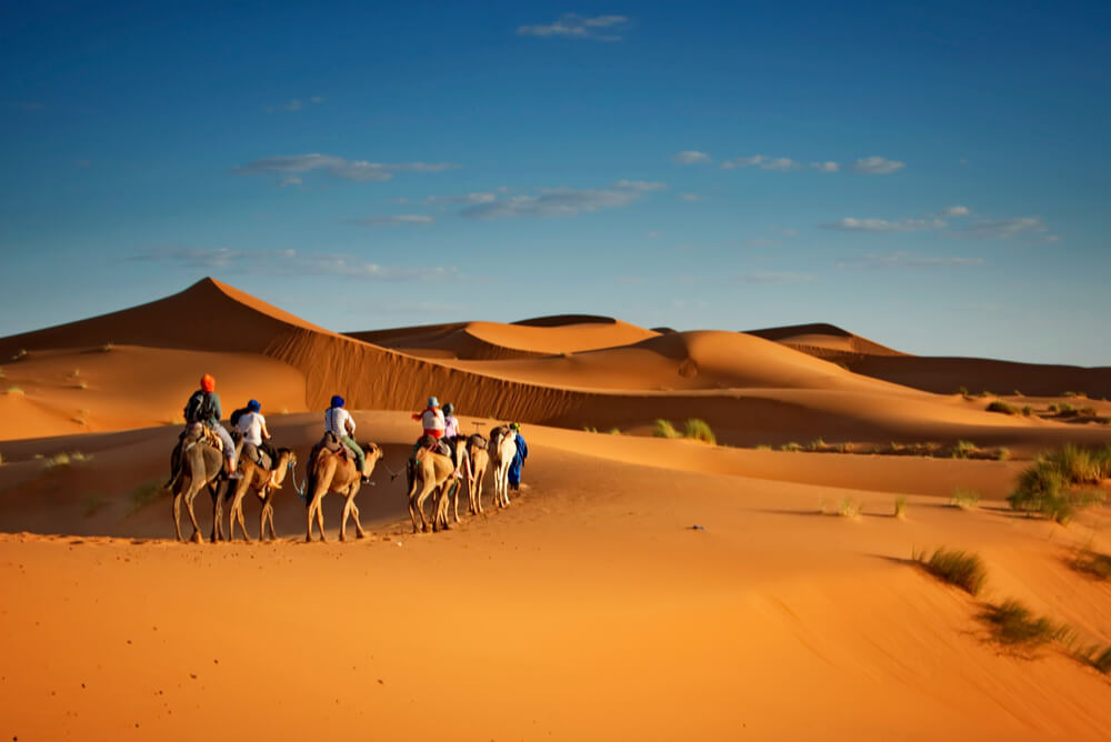 Group travellers with insurance on a camel ride in desert