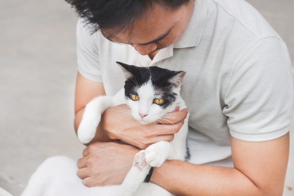 Senior black and white cat with its owner
