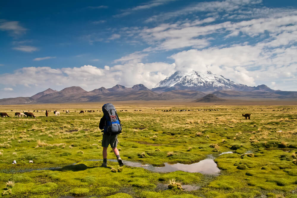 a traveller backpacking in South America across Bolivia’s Altiplano