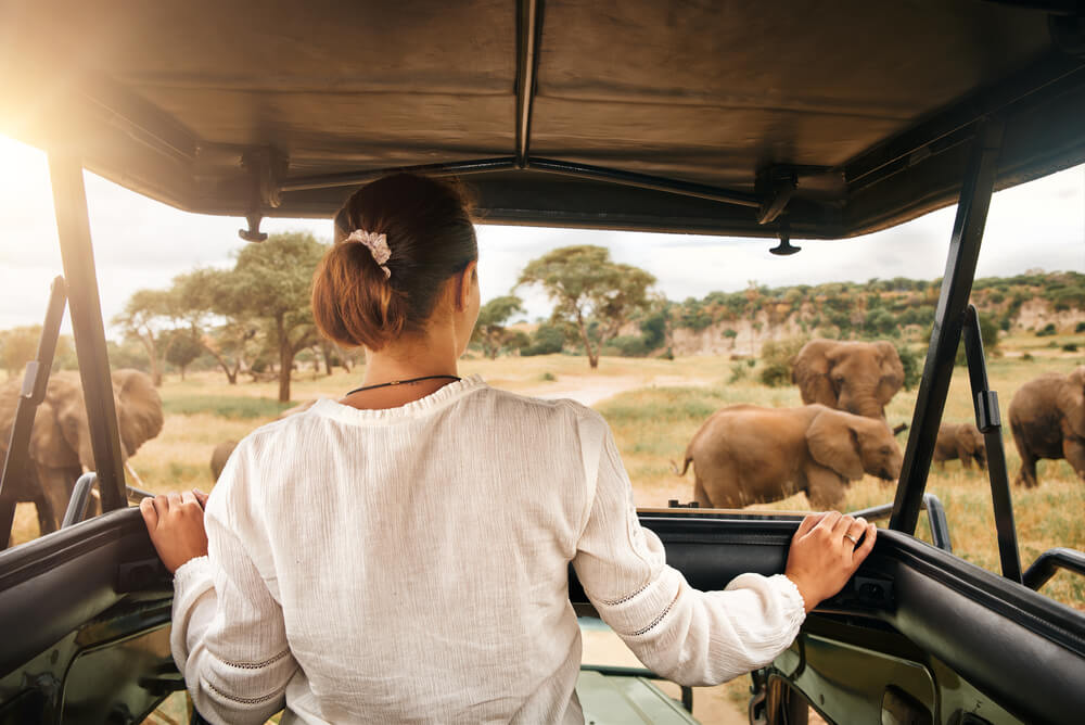 a woman on safari in Africa looking at elephants