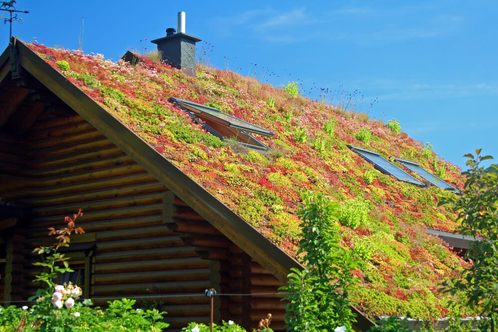 a green roof on a home