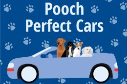 Pooch Perfect Pals in Cars mobile