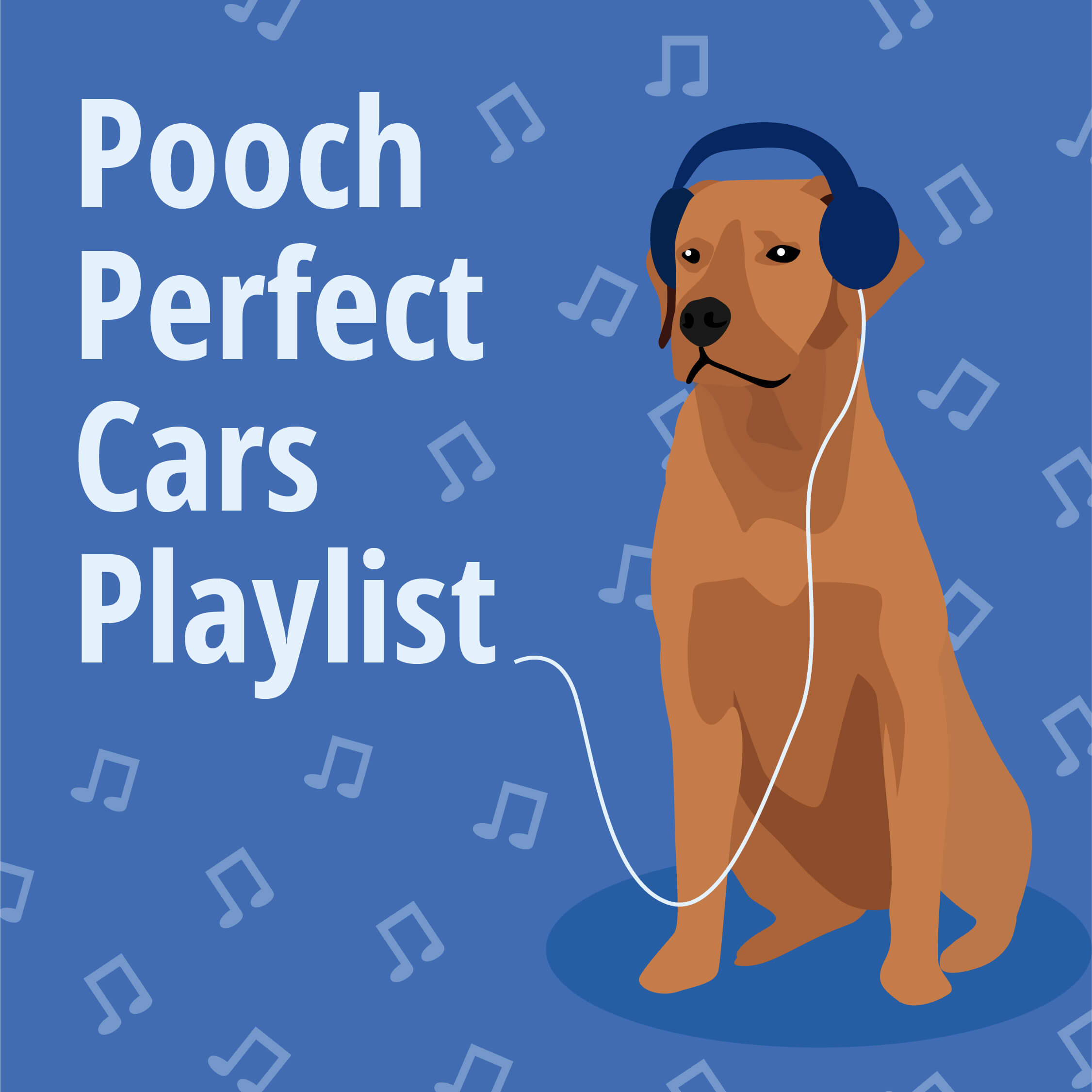 Pooch Playlist on Spotify