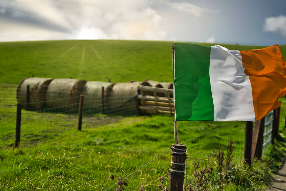 Ireland flag in a countryside fence