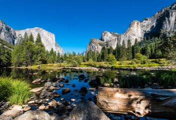North American landscape