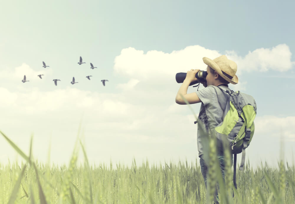 Birdwatching child