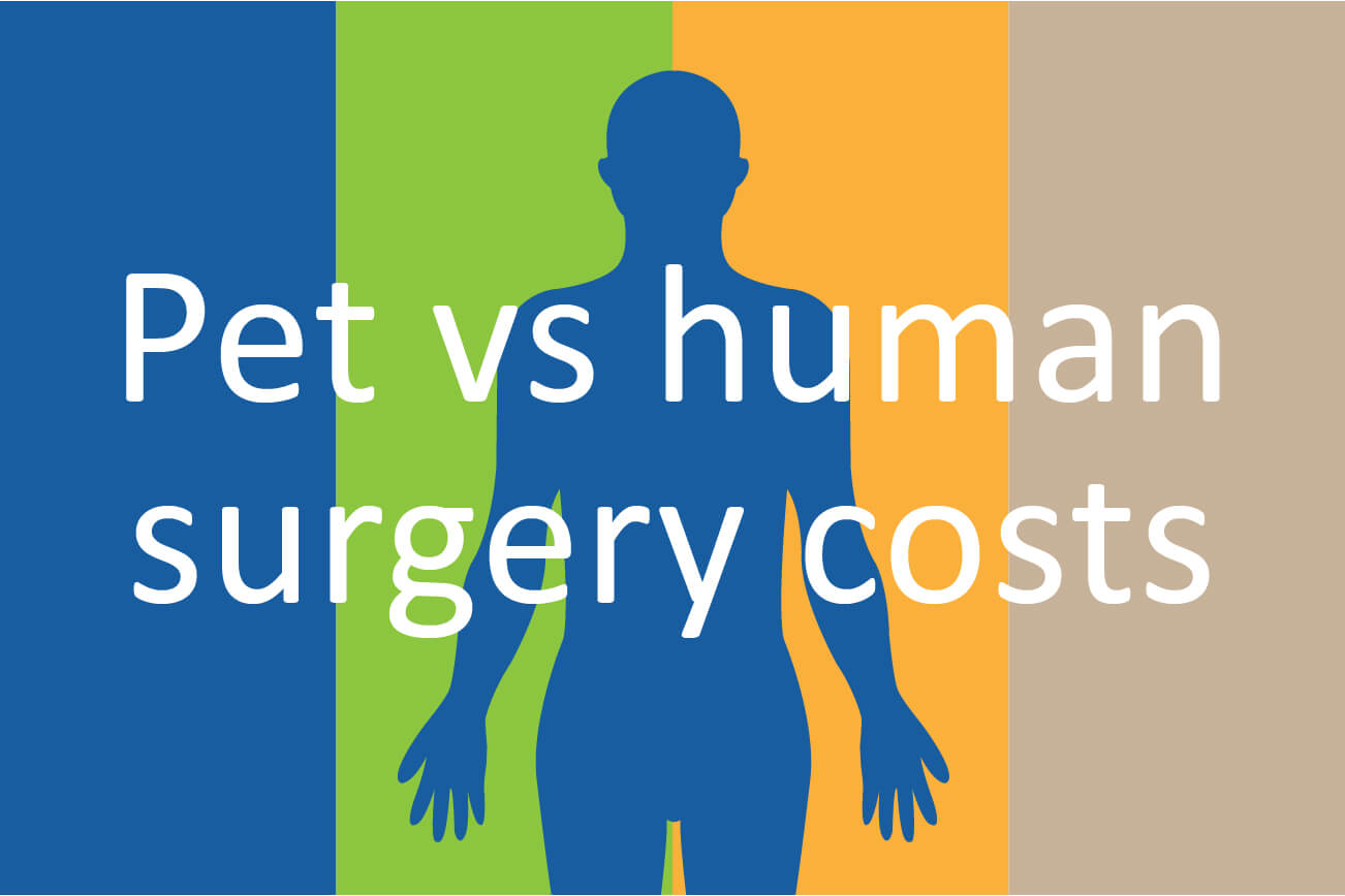 Do pet surgery costs rival humans? Compare the Market