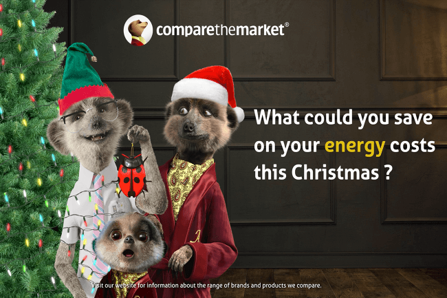Compare the Market meerkats with Christmas lights