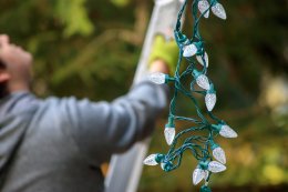 Man putting Christmas lights up