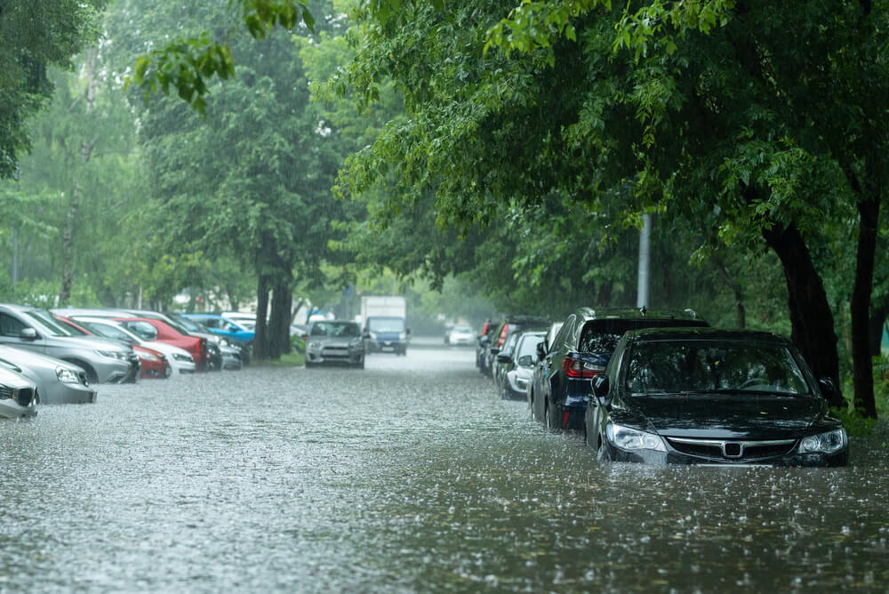 Flooded cars