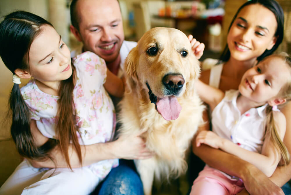 Pet-friendly