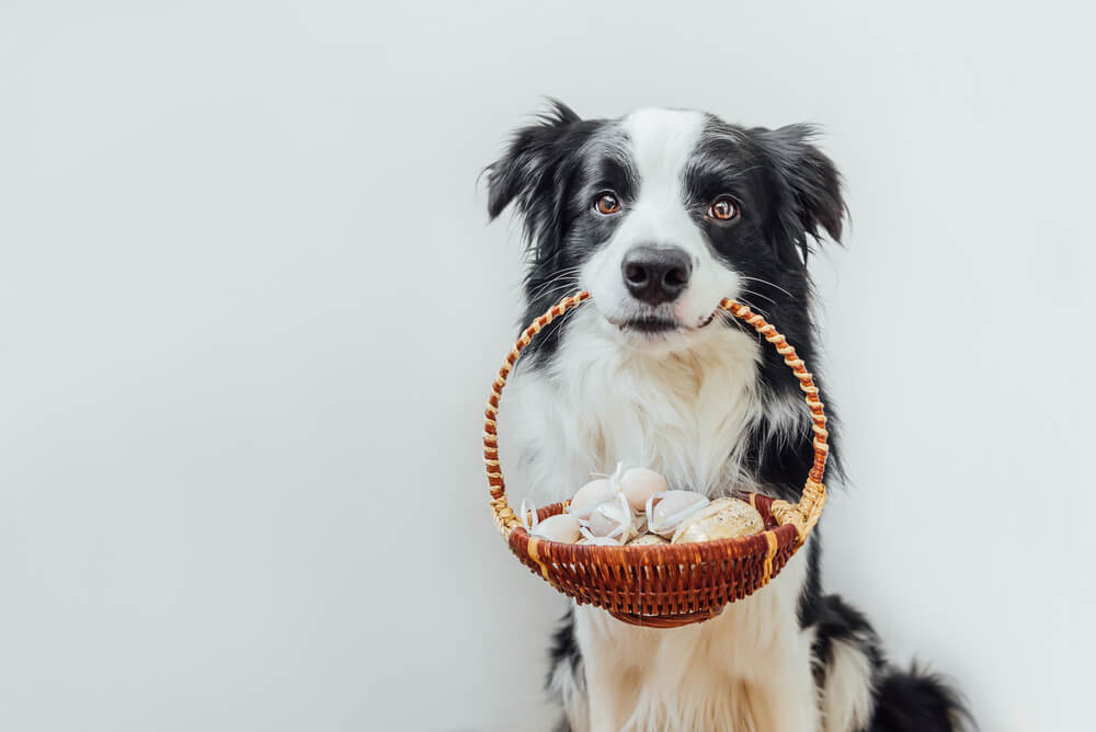 EasterPets