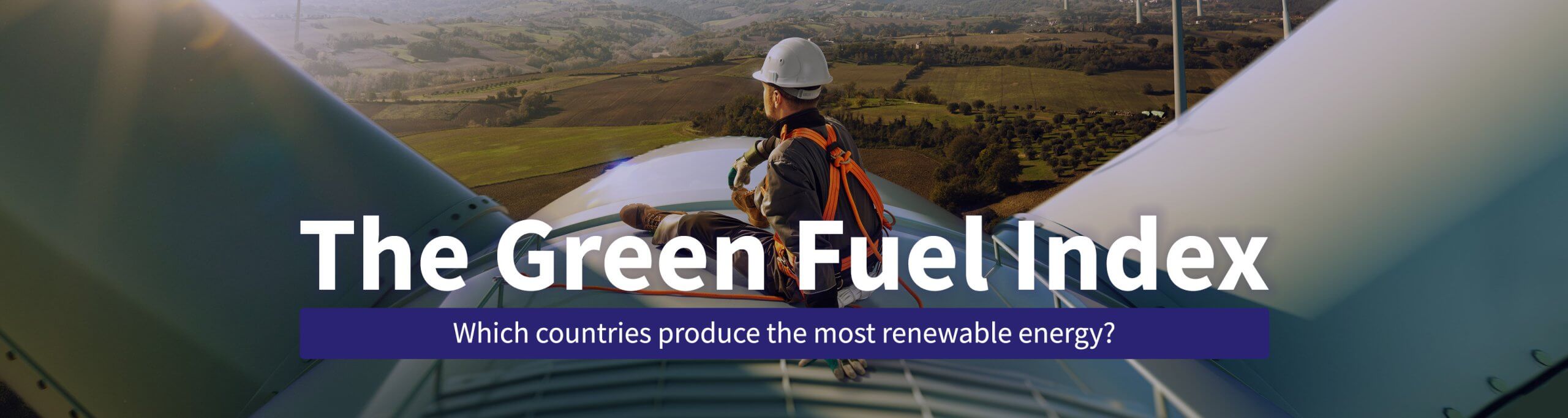 The Green Fuel Index head