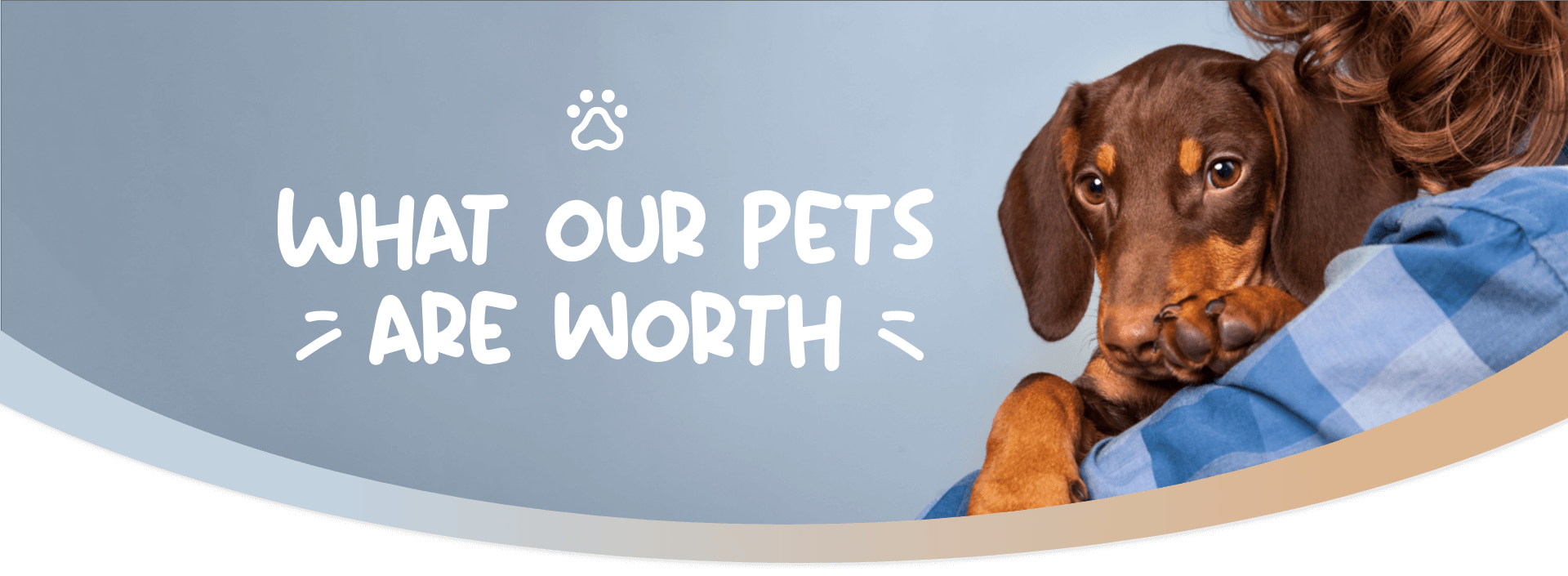 What-Our-Pets-Are-Worth