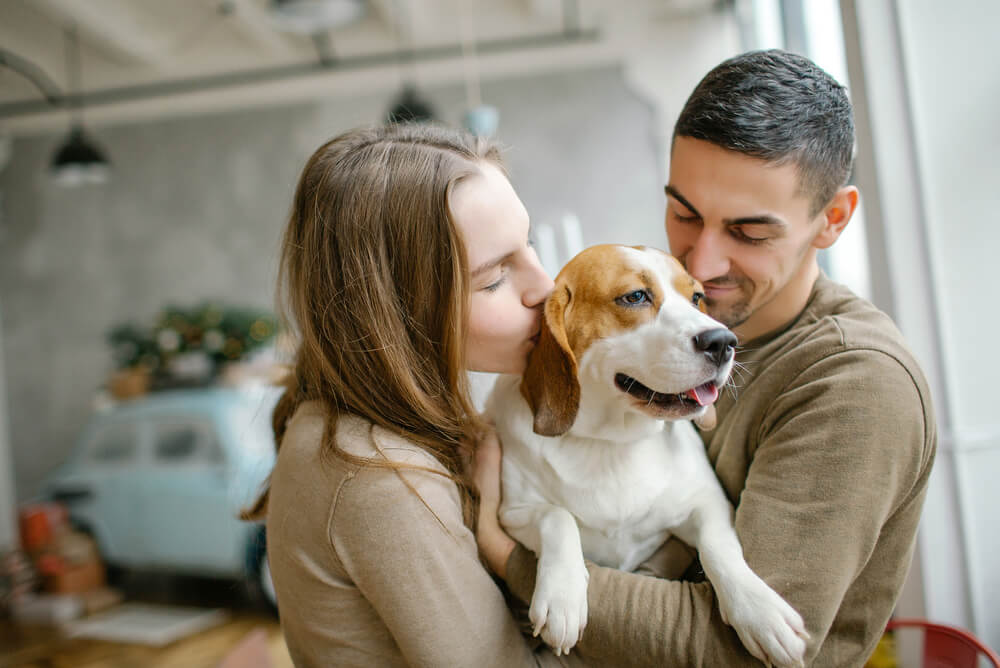 a man and woman cuddling with their beagle that helps reduce theft and burglary