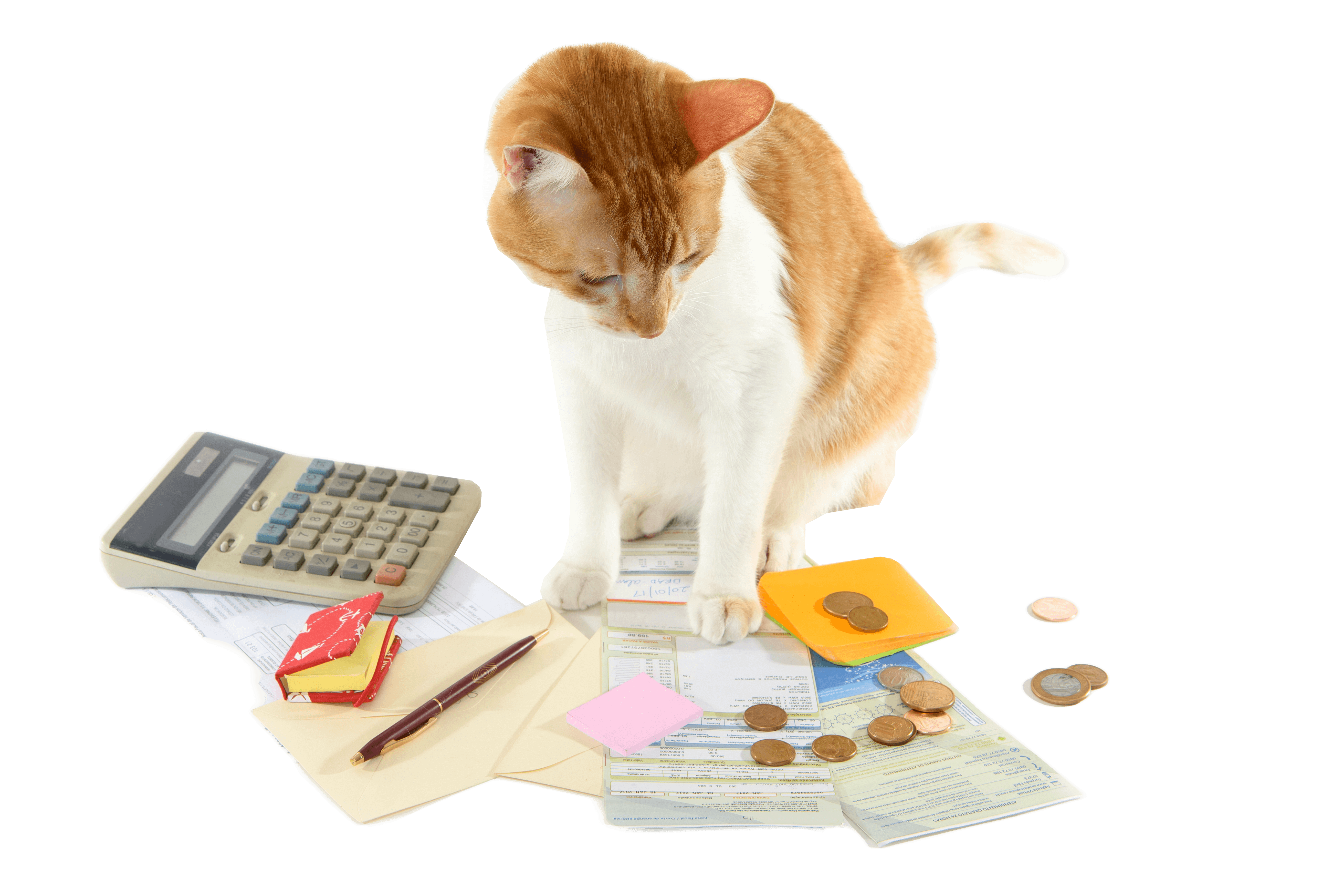 cat-and-bills