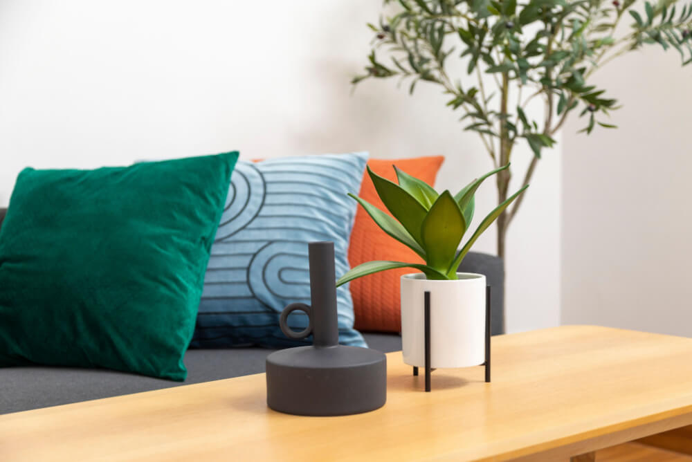 Table vase and cushions