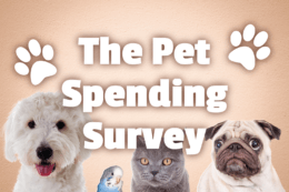 dogs, a cat and a bird sitting by the title "The Pet Spending Survey"