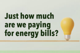 A lightbulb on a plank with the words "just how much are we paying for energy bills?" next to it