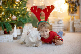 boy playing with his dog at christmas