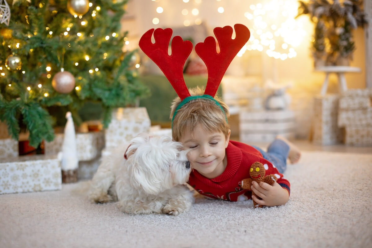boy playing with his dog at christmas