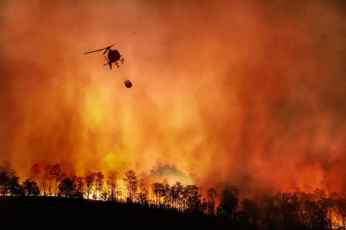 australian bushfires