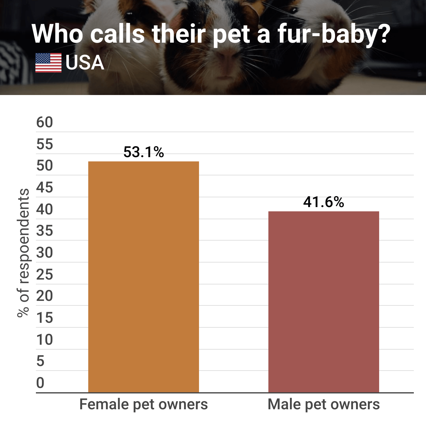 Is your pet a furbaby? Compare the Market